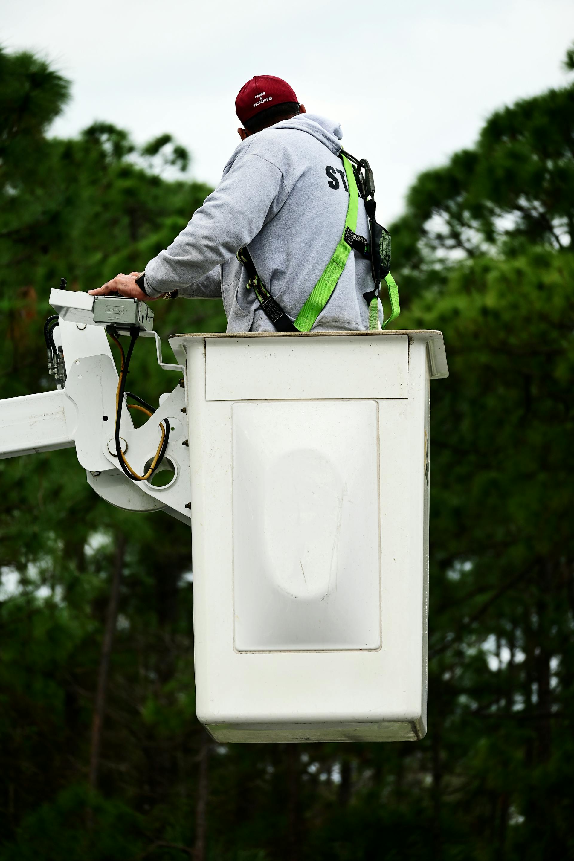 Arborist in a bucket lift removing a large tree near an El Monte home