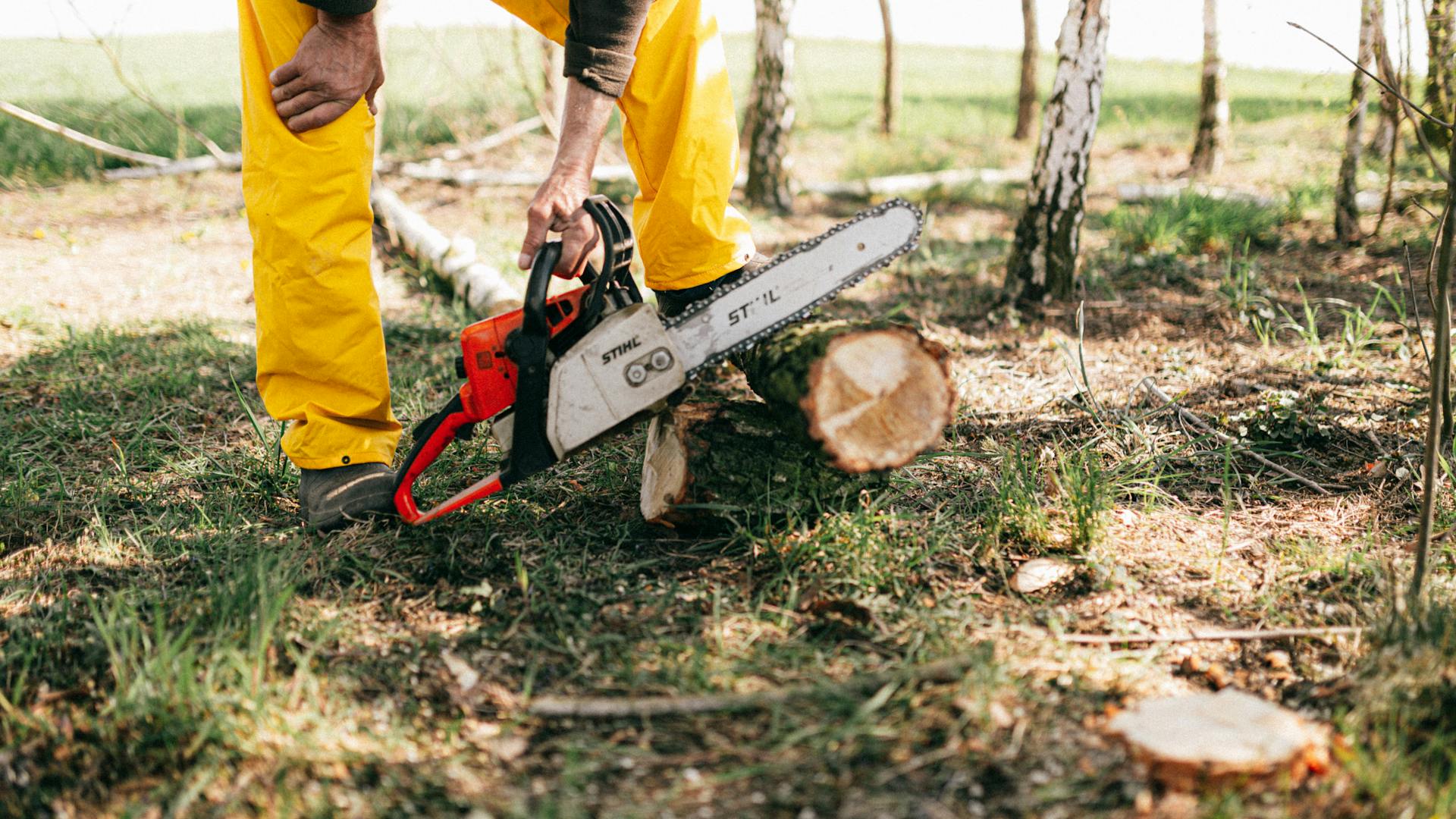 Professional in safety gear using a power saw on a tree stump