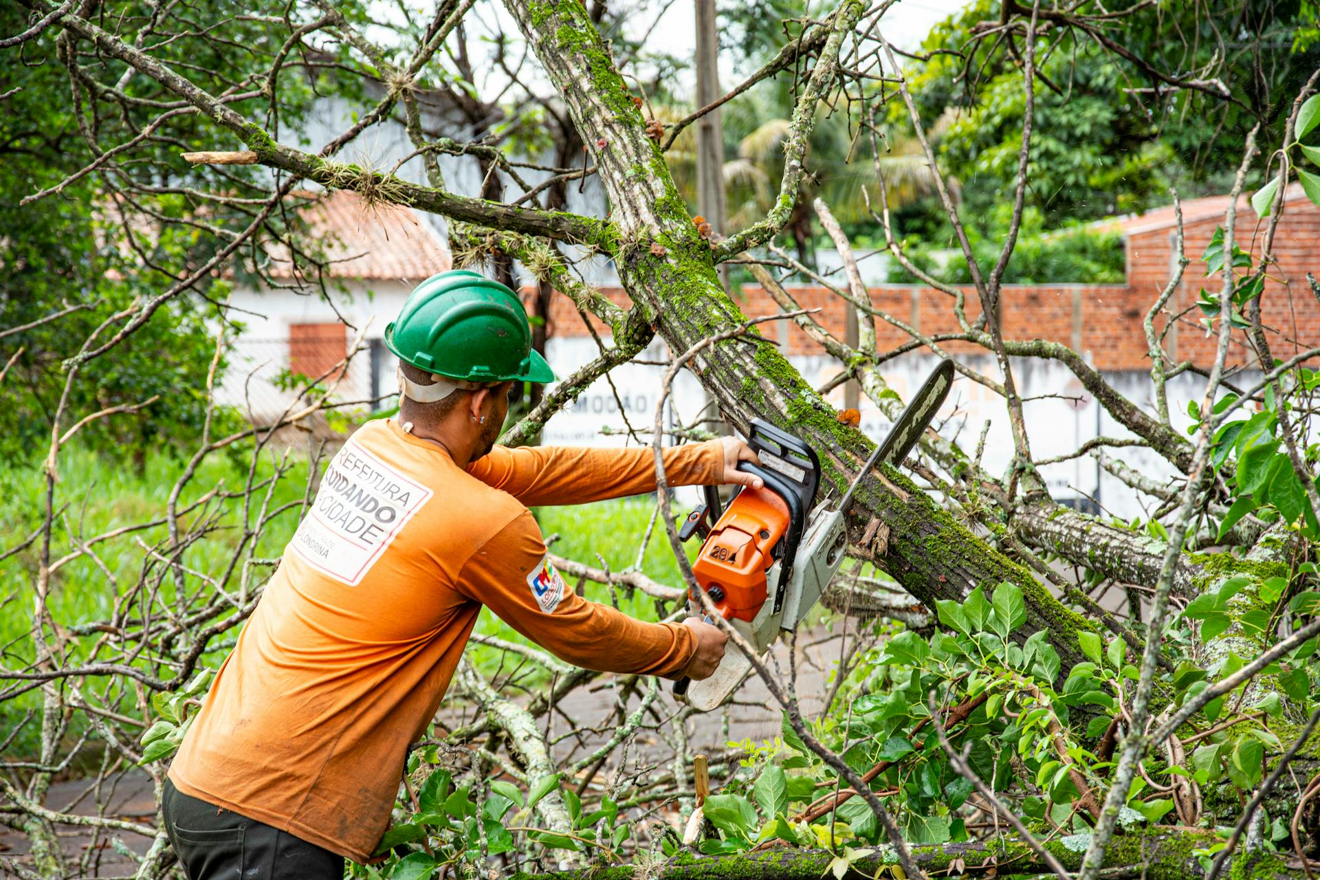 Tree maintenance crew trimming branches on a residential street